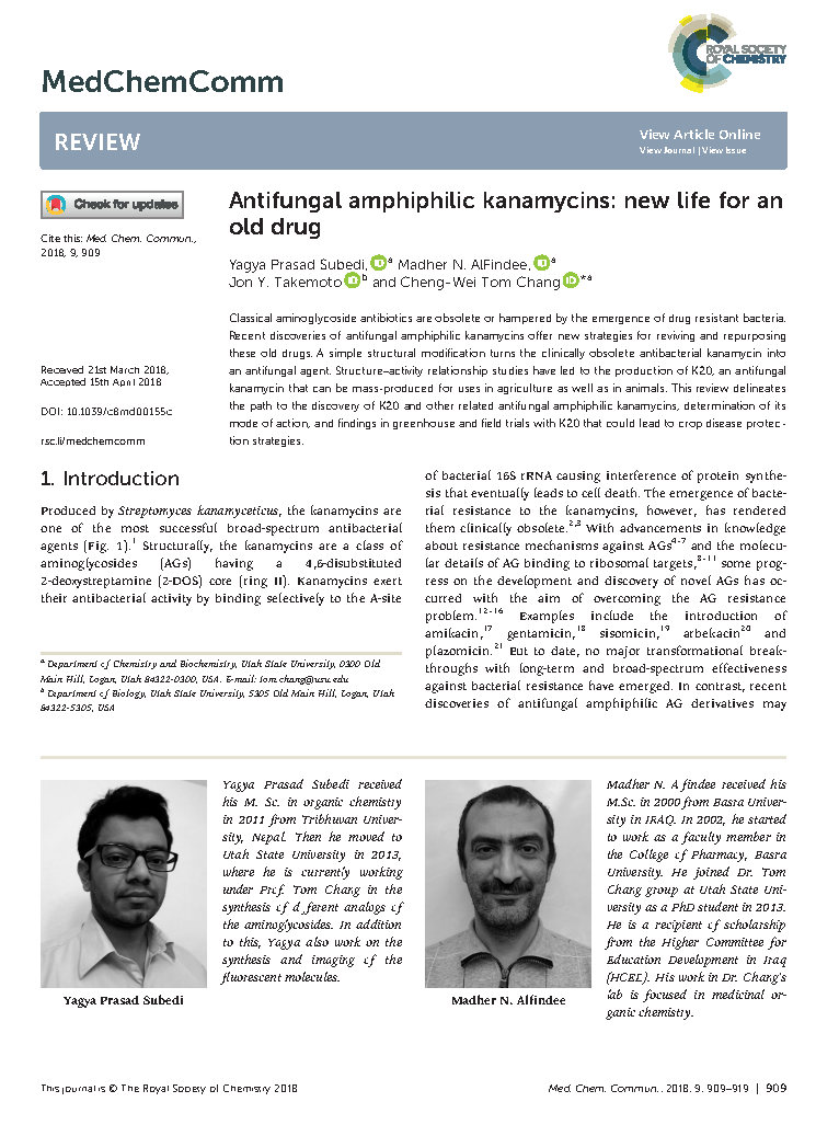 Antifungal amphiphilic kanamycins New life for an old drug
