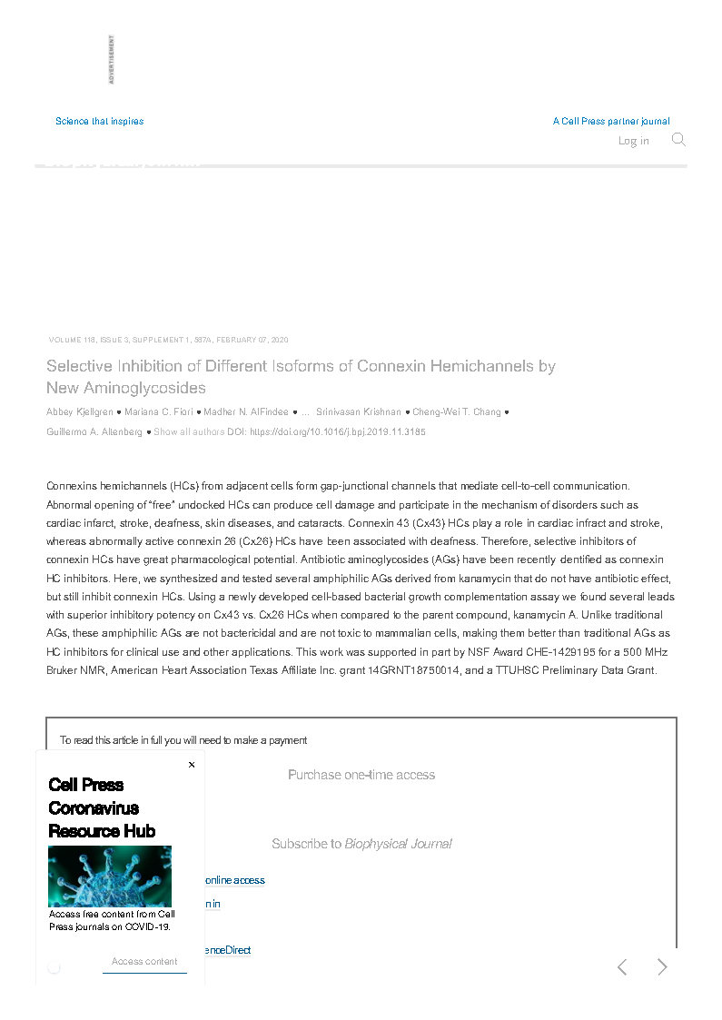 Selective Inhibition of Different Isoforms of Connexin Hemichannels by New Aminoglycosides Biophysical Journal